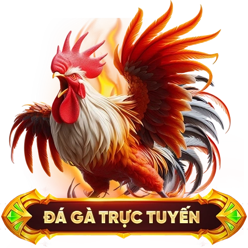 đá gà trực tuyến KM88